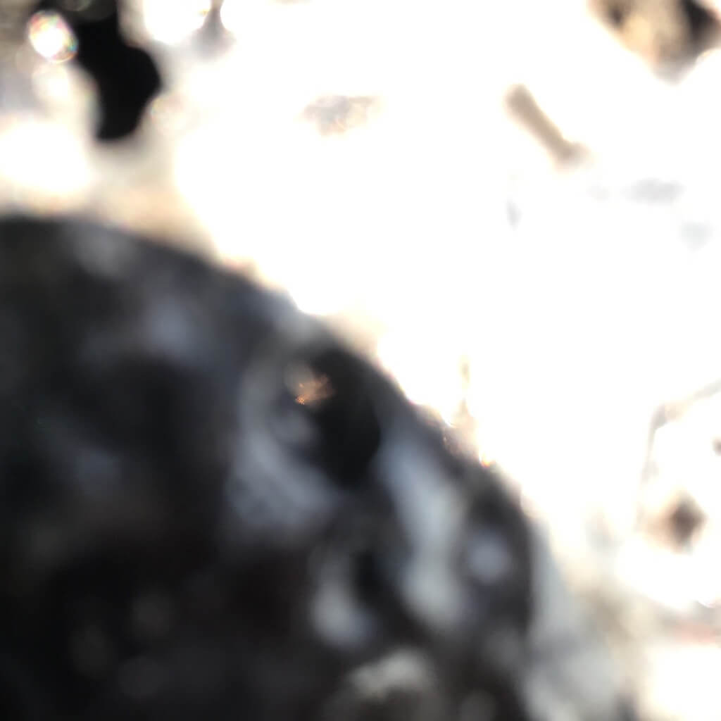 Steinig_StopMotion_0078 1